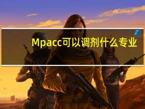 Mpacc可以调剂什么专业