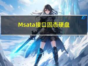 Msata接口固态硬盘