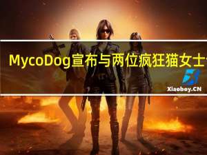 MycoDog宣布与两位疯狂猫女士合作
