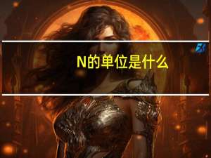 N的单位是什么