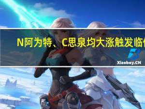 N阿为特、C思泉均大涨触发临停
