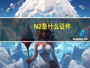 N2是什么证件