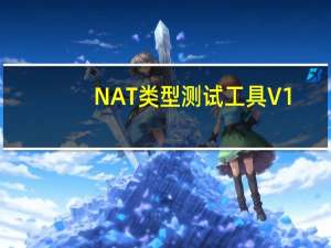 NAT类型测试工具 V1.0 绿色免费版（NAT类型测试工具 V1.0 绿色免费版功能简介）