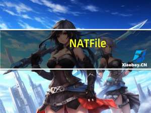 NATFile(网络文件共享工具) V1.2 官方版（NATFile(网络文件共享工具) V1.2 官方版功能简介）