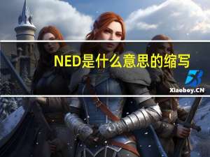 NED是什么意思的缩写
