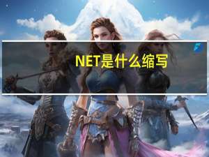 NET是什么缩写