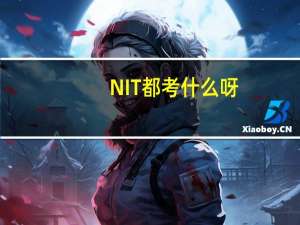 NIT都考什么呀