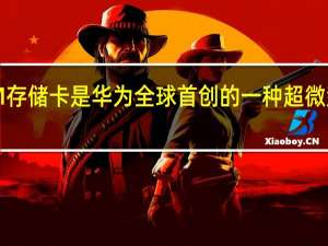 NM存储卡是华为全球首创的一种超微型存储卡