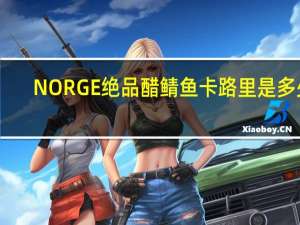 NORGE 绝品醋鲭鱼卡路里是多少