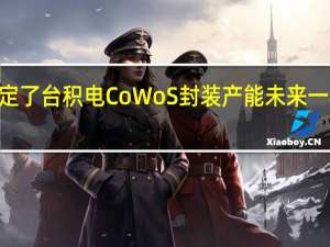 NVIDIA已经预定了台积电CoWoS封装产能未来一年的40％但依然不够