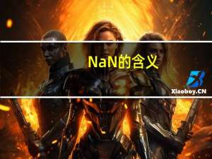 NaN的含义