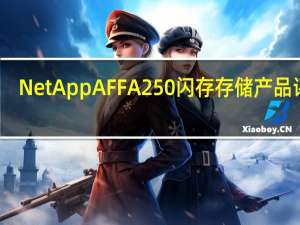 NetApp AFF A250闪存存储产品评测