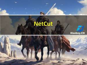 NetCut(网络剪刀手) V2.1.4 最新版（NetCut(网络剪刀手) V2.1.4 最新版功能简介）