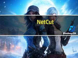 NetCut(网络剪刀手) V2.1.4 最新版（NetCut(网络剪刀手) V2.1.4 最新版功能简介）