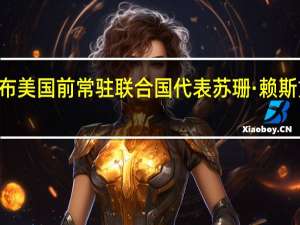 Netflix宣布美国前常驻联合国代表苏珊·赖斯重返公司董事会