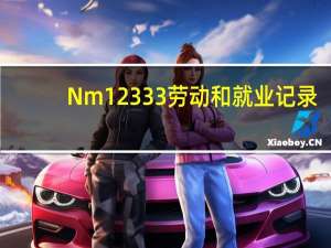 Nm12333劳动和就业记录