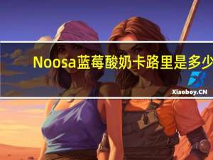 Noosa 蓝莓酸奶卡路里是多少