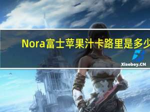 Nora 富士苹果汁卡路里是多少