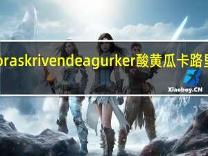 Nora skrivende agurker 酸黄瓜卡路里是多少