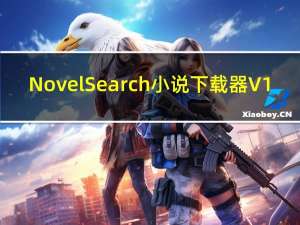 NovelSearch小说下载器 V1.0 绿色免费版（NovelSearch小说下载器 V1.0 绿色免费版功能简介）