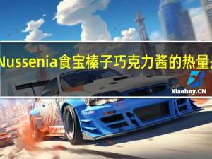 Nussenia 食宝 榛子巧克力酱的热量是多少