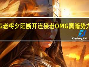 OMG老将夕阳断开连接 老OMG黑暗势力全部退役