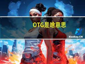 OTG是啥意思