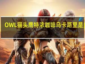 OWL 猫头鹰 特浓咖啡乌卡路里是多少