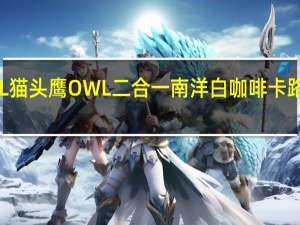 OWL 猫头鹰  OWL 二合一南洋白咖啡卡路里是多少