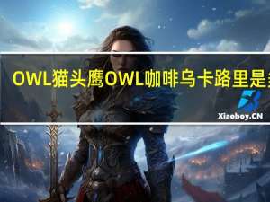 OWL 猫头鹰 OWL咖啡乌卡路里是多少