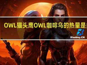 OWL 猫头鹰 OWL咖啡乌的热量是多少