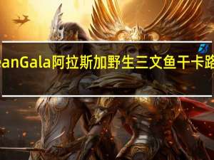 Ocean Gala 阿拉斯加野生三文鱼干卡路里是多少