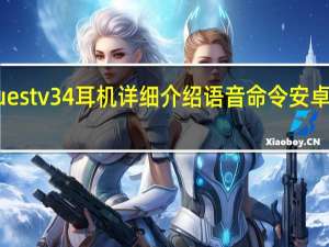 Oculus Quest v34耳机详细介绍语音命令安卓和SpaceSense