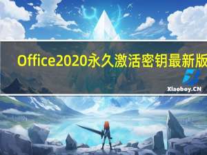 Office2020永久激活密钥最新版 32/64位 免费版（Office2020永久激活密钥最新版 32/64位 免费版功能简介）