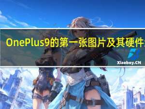 OnePlus 9的第一张图片及其硬件细节