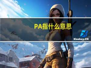 PA指什么意思