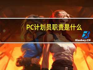 PC计划员职责是什么