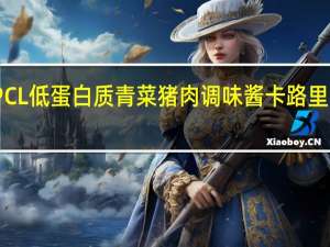 PCL 低蛋白质青菜猪肉调味酱卡路里是多少
