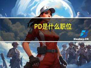 PD是什么职位