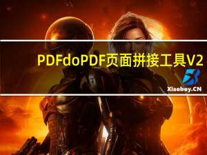 PDFdo PDF页面拼接工具 V2.2 试用版（PDFdo PDF页面拼接工具 V2.2 试用版功能简介）