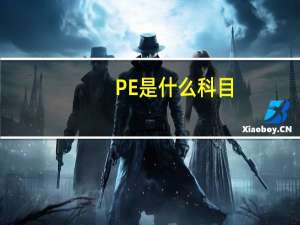 PE是什么科目