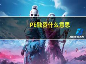 PE融资什么意思