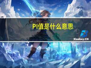 PI值是什么意思