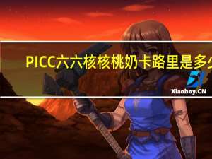 PICC 六六核核桃奶卡路里是多少