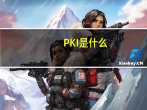 PKI是什么