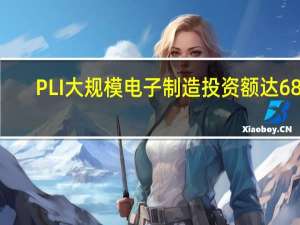 PLI大规模电子制造投资额达688.7亿卢比