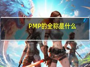 PMP的全称是什么