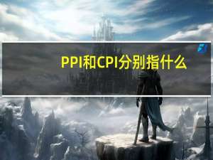 PPI和CPI分别指什么