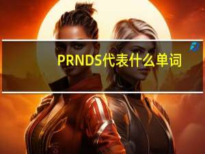 P R N D S代表什么单词