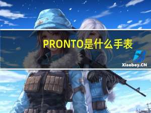PRONTO是什么手表